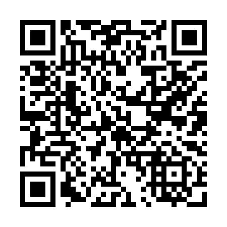 QR code for 462-999