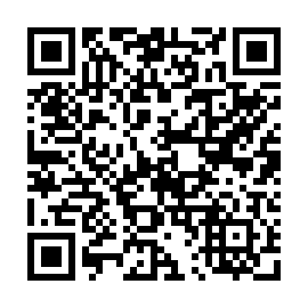 QR code for 462202