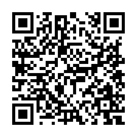 QR code for 46291