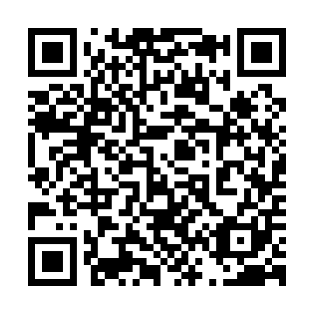 QR code for 463-101