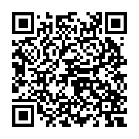 QR code for 463247