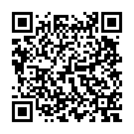 QR code for 463410