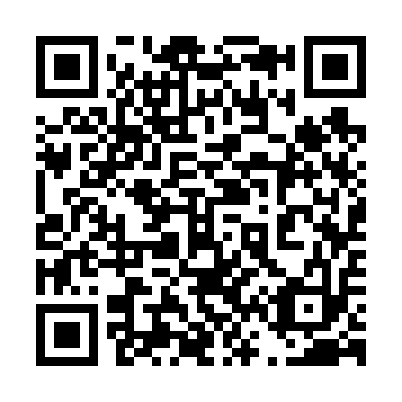 QR code for plate 463-613