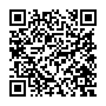QR code for 46384