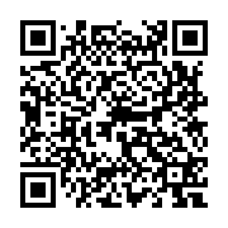 QR code for plate 463-920