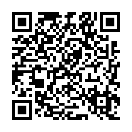 QR code for 46462