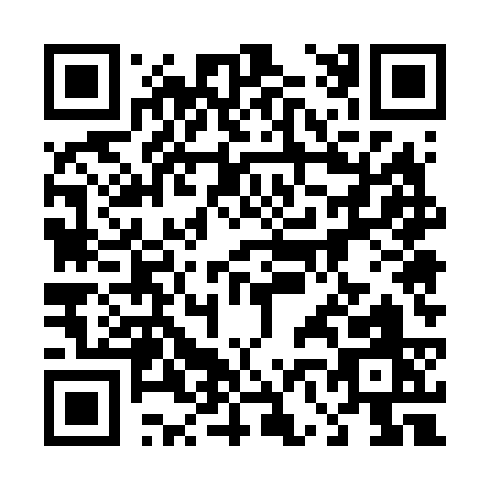 QR code for 46563