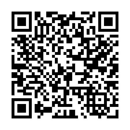 QR code for 466382