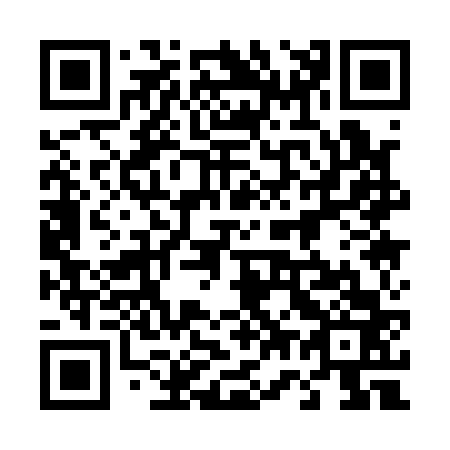 QR code for plate 471-163