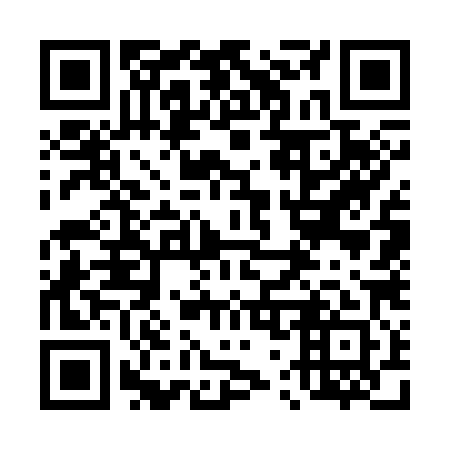 QR code for plate 477-381