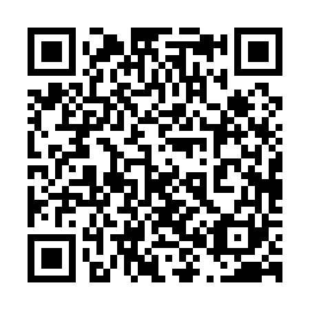 QR code for 480-161