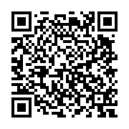 QR code for 481411