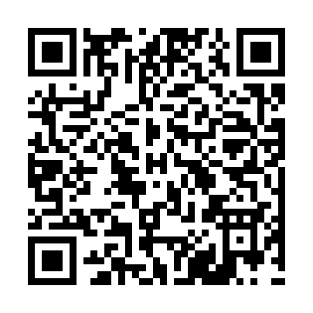 QR code for 48333
