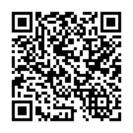 QR code for plate 488-335