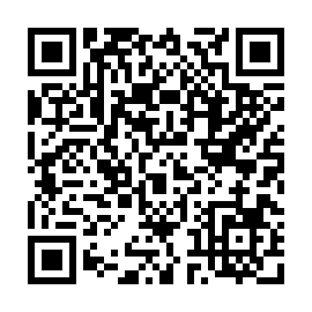 QR code for 48838