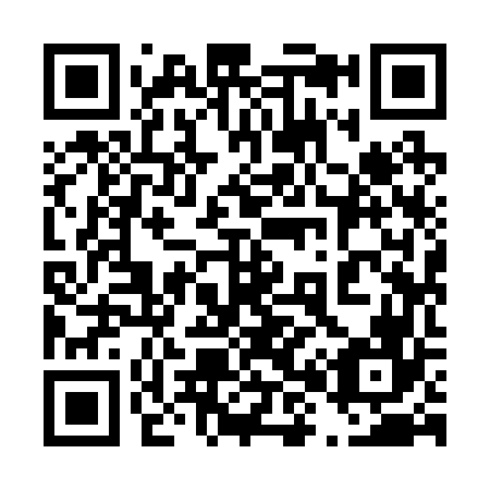 QR code for plate 489-266