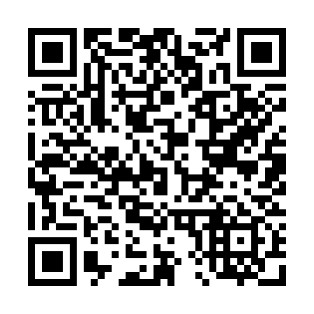 QR code for plate 489-339