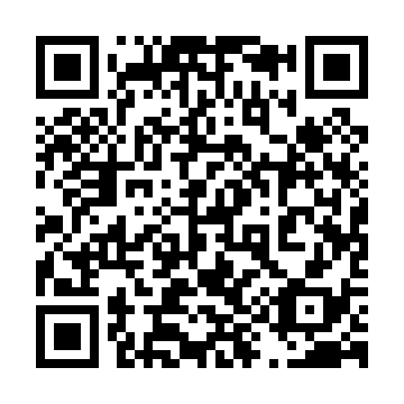 QR code for 491038