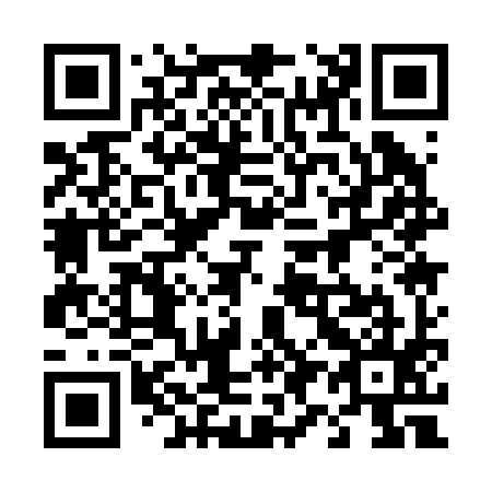 QR code for 491295