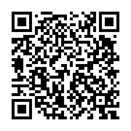 QR code for plate 491-411