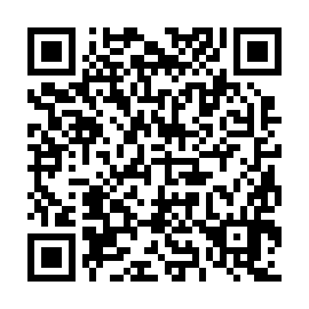 QR code for 493-294