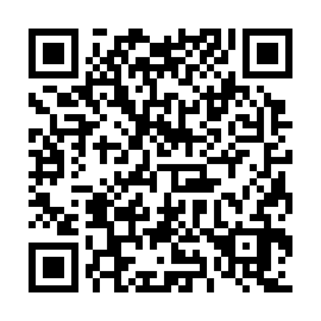 QR code for plate 493-332