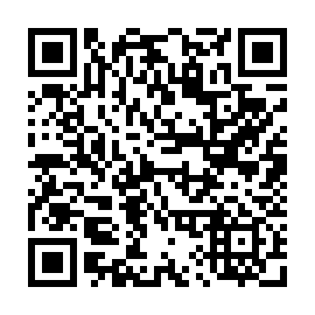 QR code for plate 493-439