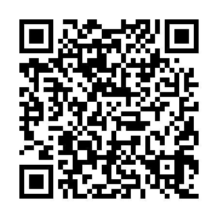 QR code for 493519