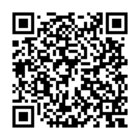 QR code for 493592