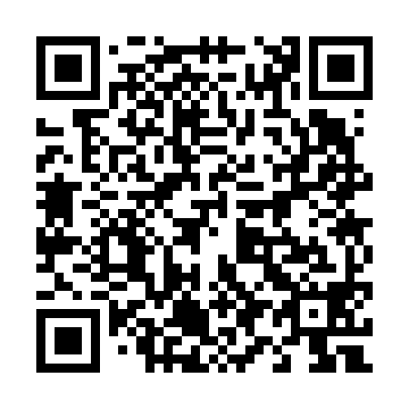 QR code for plate 493-698