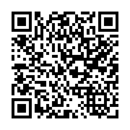 QR code for plate 494-306