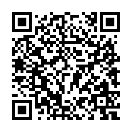 QR code for 49463