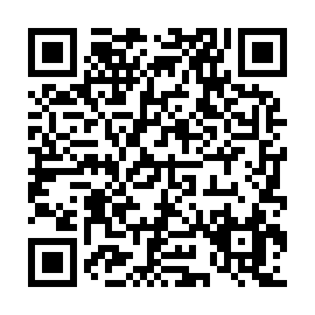 QR code for 49493