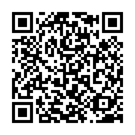 QR code for plate 495-029