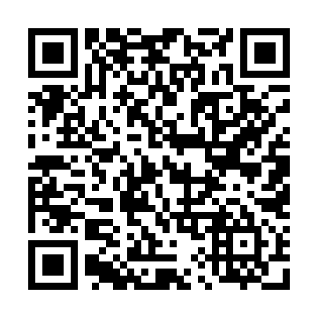 QR code for plate 495-195