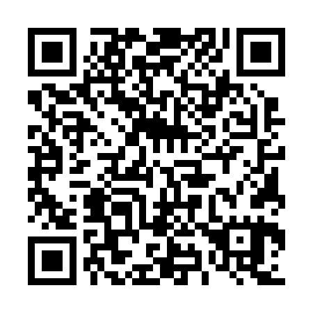 QR code for plate 495-265