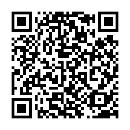 QR code for plate 497-638