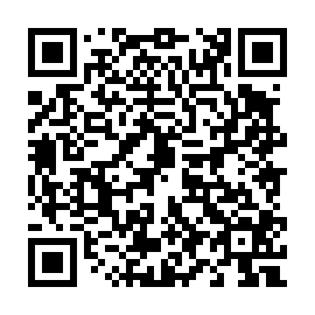 QR code for plate 498-404