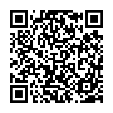 QR code for plate 498-667