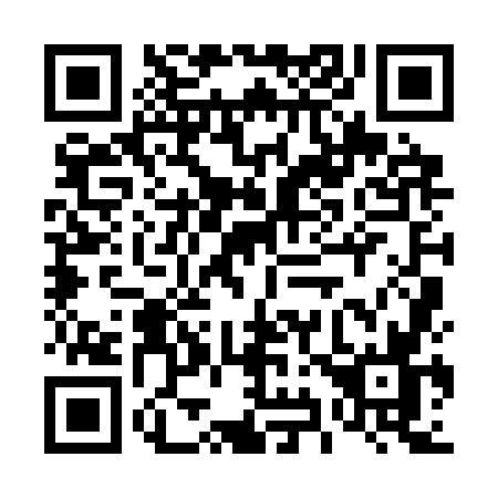 QR code for 4993