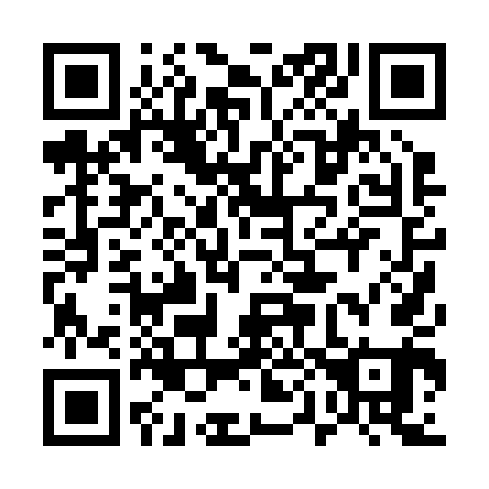 QR code for plate 500-241
