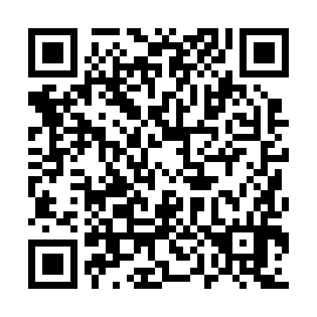 QR code for plate 500-294
