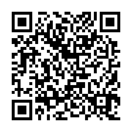 QR code for plate 501-304