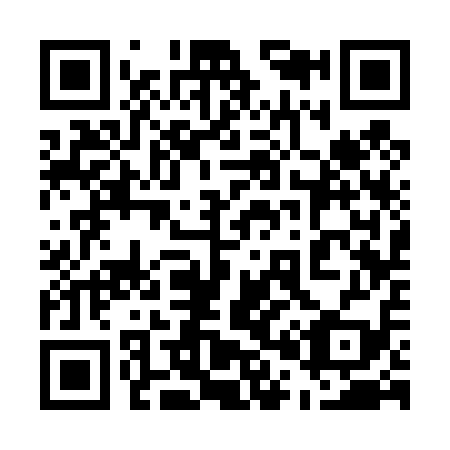 QR code for plate 503-419