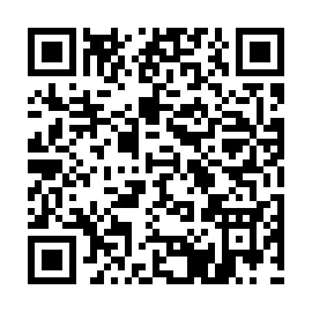 QR code for 50453
