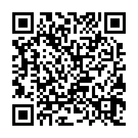 QR code for plate 507-208