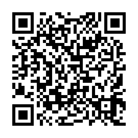 QR code for 509-919