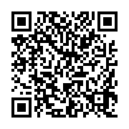 QR code for plate 510-498
