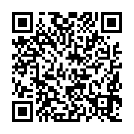 QR code for plate 511-493