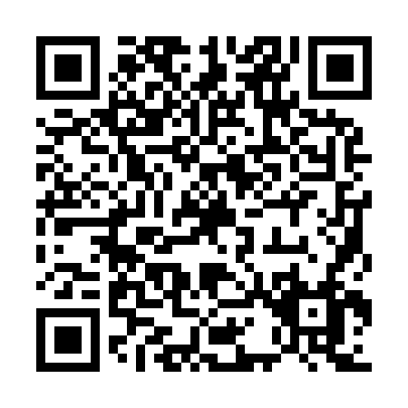 QR code for 51196